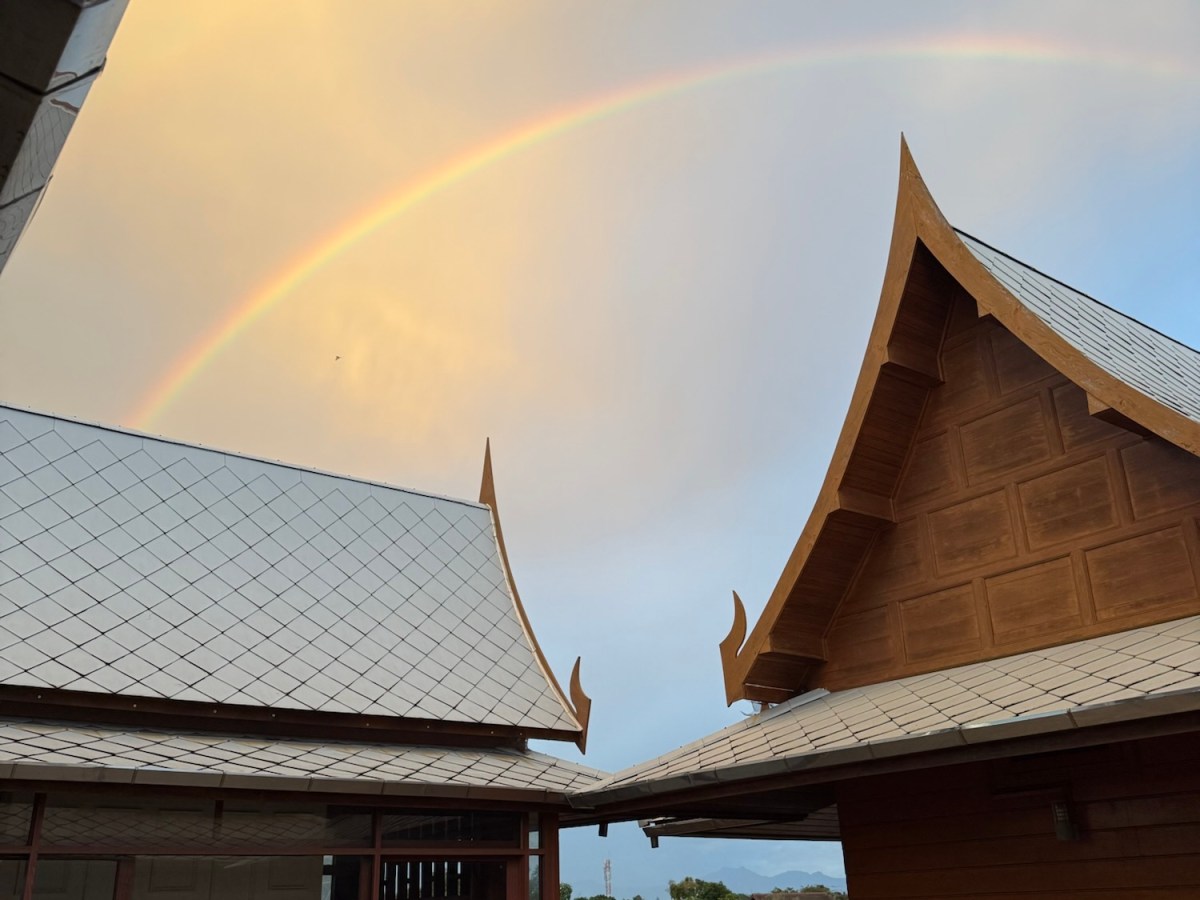 Floating Lanterns and Sports&nbsp;Day